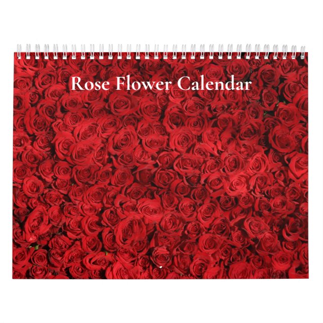 Rose Blume 2025 Kalender (Titelbild)