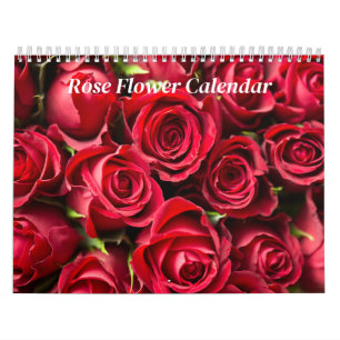 Rose Blume 2025 Kalender
