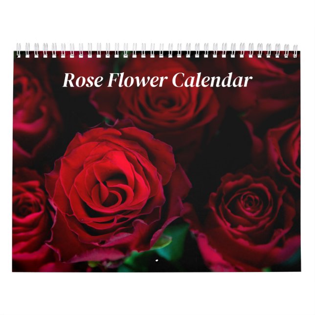Rose Blume 2026 Kalender (Titelbild)