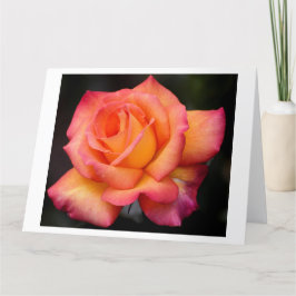 Rose Blume Blume Blüten Blüten Blätter Karte