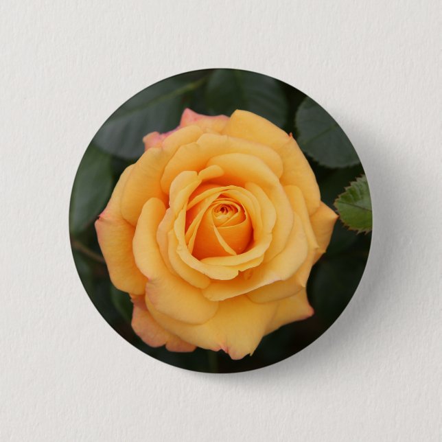 Rose Blume Blume Liebe Ehefrau Liebespaar Button (Vorderseite)