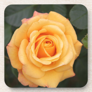 Rose Blume Blume Liebe Ehefrau Liebespaar Getränkeuntersetzer