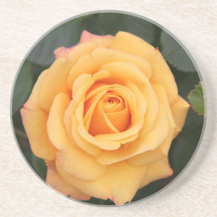 Rose Blume Blume Liebe Ehefrau Liebespaar Untersetzer