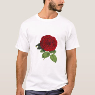 Rose Blume Blüten Rot Grün Abgeschieden Vintag T-Shirt