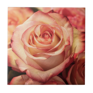 Rose-Blume Fliese