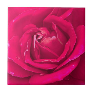 Rose Blume Fliese