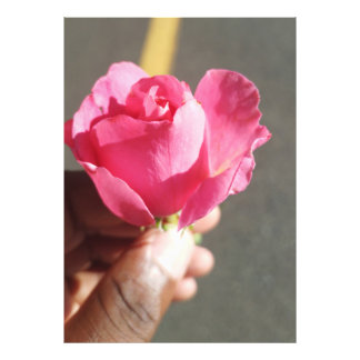 Rose Blume Foto Erweiterung