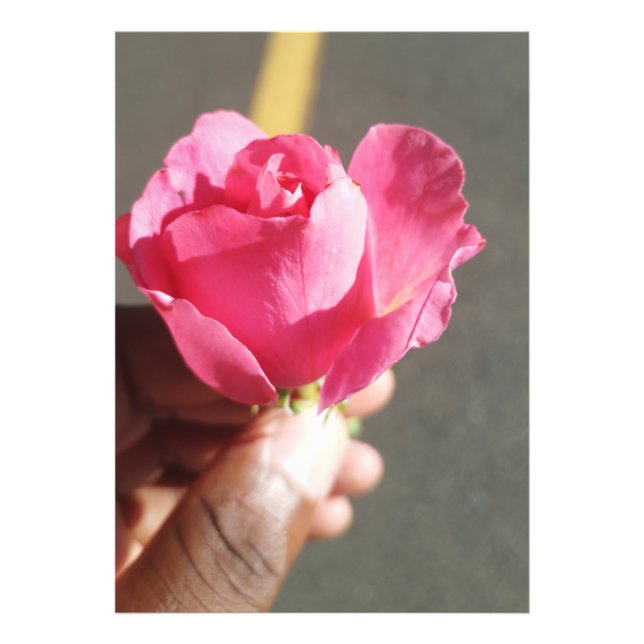 Rose Blume Foto Erweiterung (Vorne)