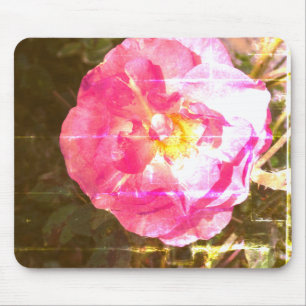 Rose Blume Foto Mousepad