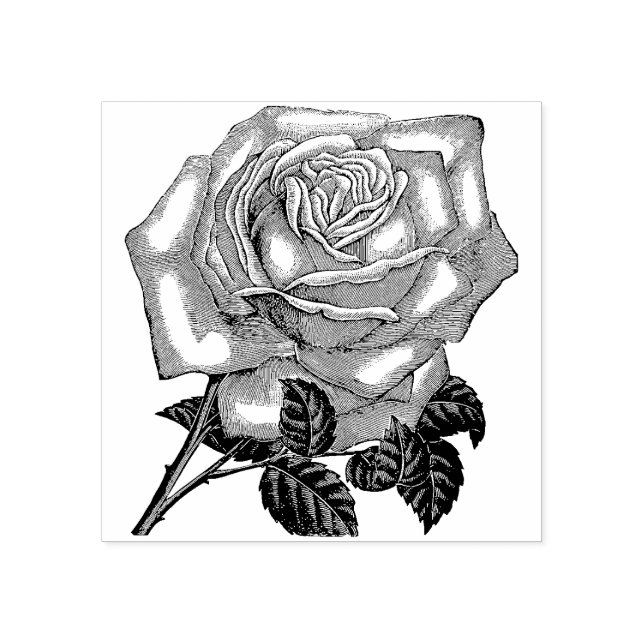 Rose Blume Gummi Briefmarke Gummistempel (Prägung)