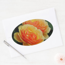 Rose Blume in Blüten / Orange / Umschlag Aufkleber