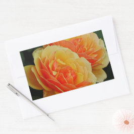 Rose Blume in Blüten / Orange / Umschlag Aufkleber