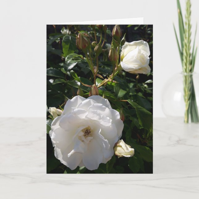 Rose-Blume-Karte Karte (Vorderseite)