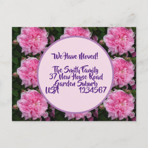 Rose Blume neue Adresse Postkarte, wir bewegen uns Postkarte