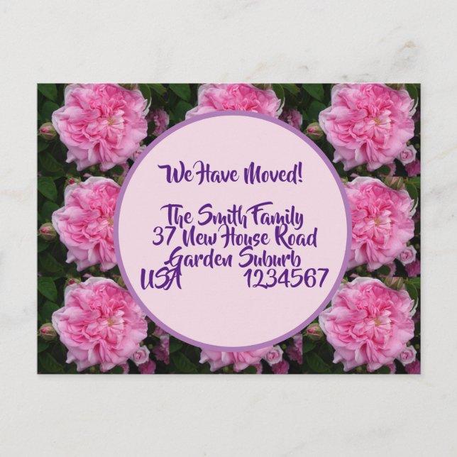 Rose Blume neue Adresse Postkarte, wir bewegen uns Postkarte (Vorderseite)