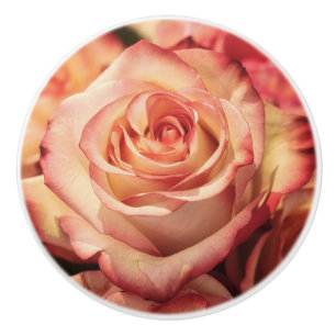 Rose Blume Petals Keramik Schublade Kabinettkasten Keramikknauf