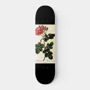 Rose Blume, Pierre Joseph Redouté Skateboard