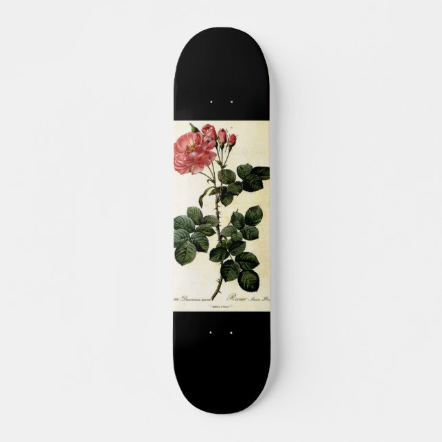 Rose Blume, Pierre Joseph Redouté Skateboard (Vorne)