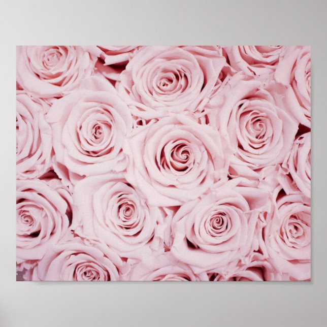 Rose | BLUME Poster (Vorne)