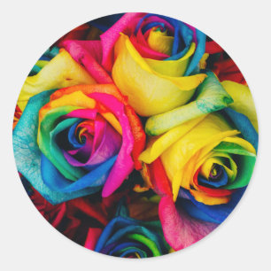 Rose Blume Regenbogen niedliche hübsche Kunstfarbe Runder Aufkleber