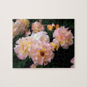 Rose Blume, rosa Gelbe Rosen Puzzle