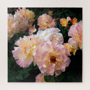 Rose Blume, rosa Gelbe Rosen Puzzle