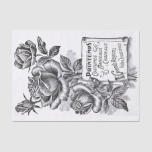 Rose Blume Scroll Banner Französischer Text Entpac Seidenpapier