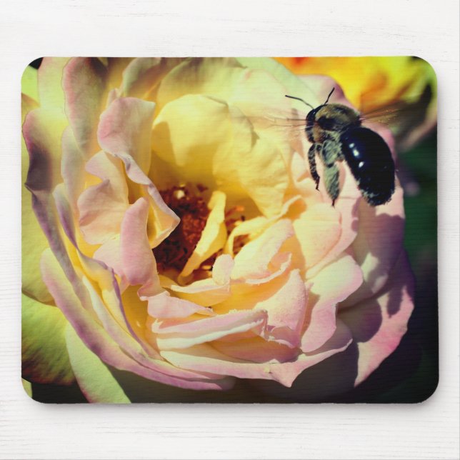 Rose Blume und Hummel Mousepad (Vorne)