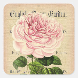 Rose Blume Vintage feminine Blumenaufkleber Quadratischer Aufkleber