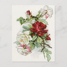 Rose Blume Vintage Rose viktorianisch Postkarte