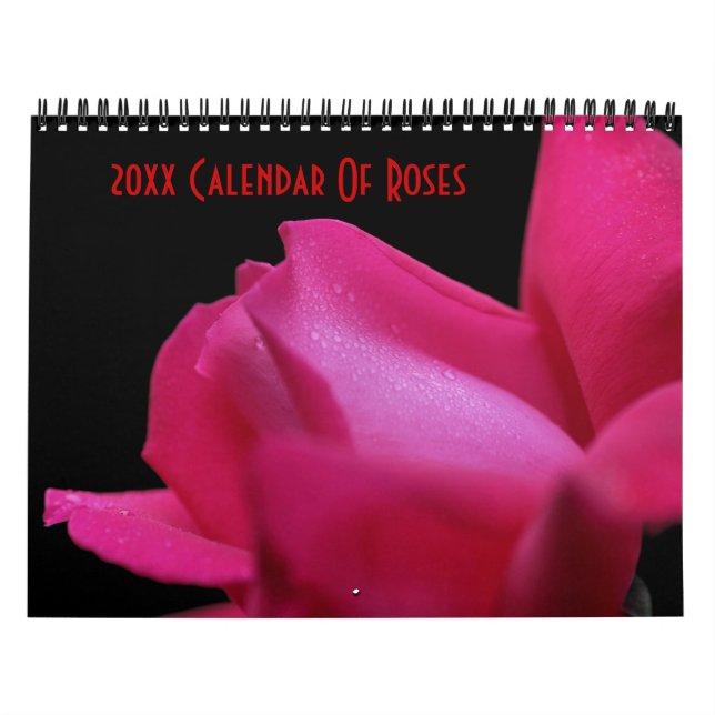 Rose Blumenfotografie Kalender (Titelbild)