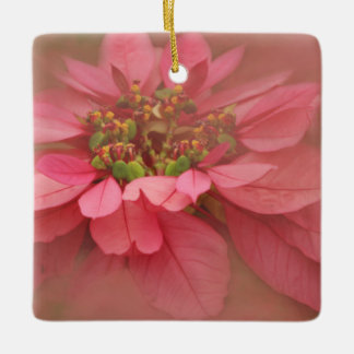 Rose Blush Poinsettias Digitale Kunst Keramikornament