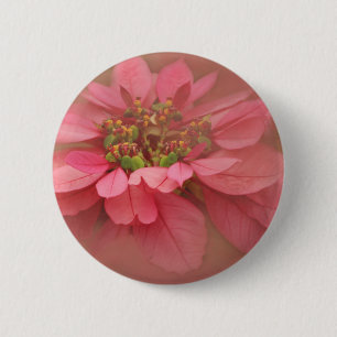 Rose Blush Poinsettien Digitale Kunst Button