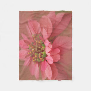 Rose Blush Poinsettien Digitale Kunst Fleecedecke