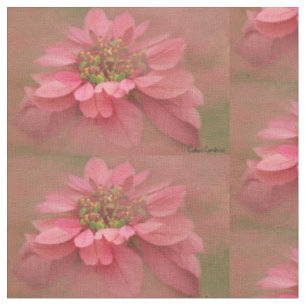 Rose Blush Poinsettien Digitale Kunst Stoff