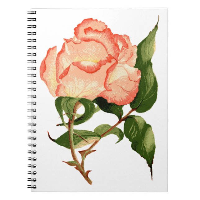 Rose botanische Aquarellfarbe Notizblock (Vorderseite)