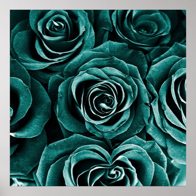 Rose Bouquet auf Türkis Poster (Vorne)