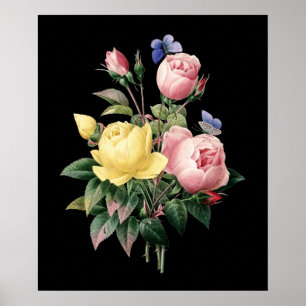 Rose Bouquet Redoute schwarzer Hintergrund Poster