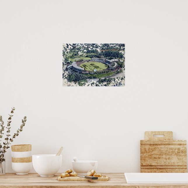 Rose Bowl Southampton Cricket Ground Artistic Poster (Küche)