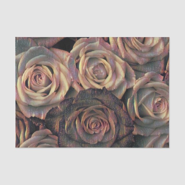 Rose, braun, orange, goldfarben Papiertücher Seidenpapier (Vorderseite)
