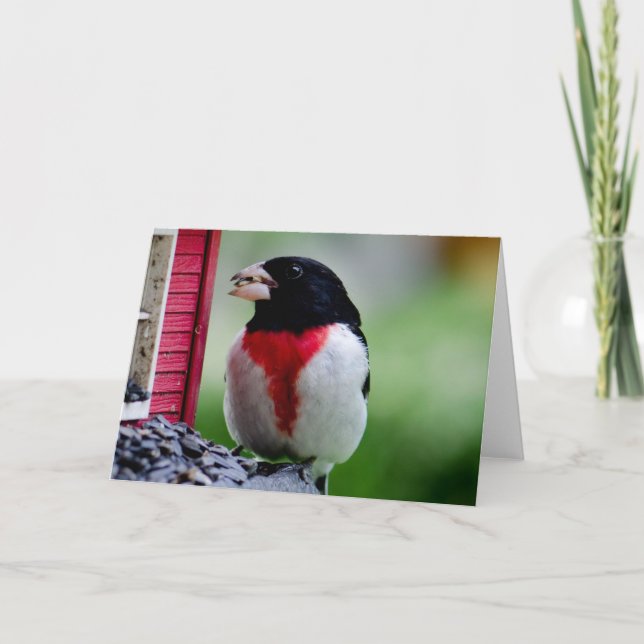 Rose breasted Grosbeak Karte (Vorderseite)
