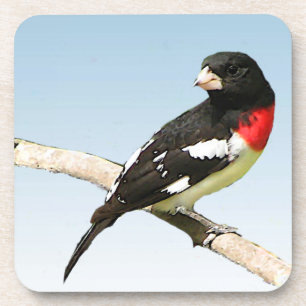 Rose-Breasted Grosbeak Untersetzer