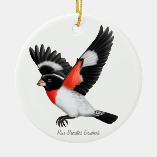 Rose Breasted Grosbeak-Vogel-Verzierung Keramikornament (Vorne)