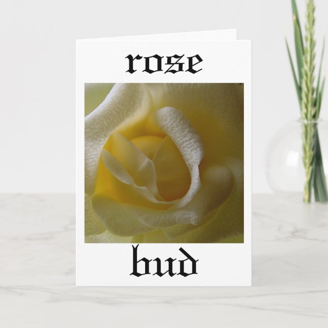 Rose Bud Card Karte (Vorderseite)