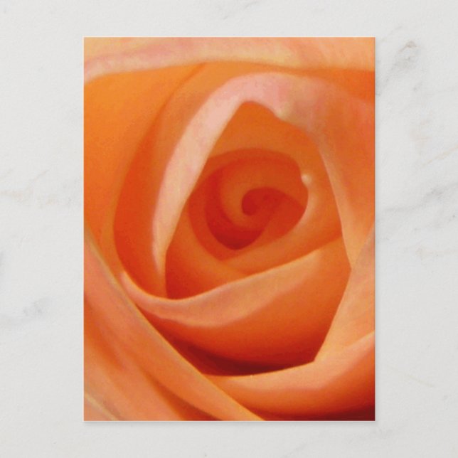 Rose Bud Postkarte (Vorderseite)