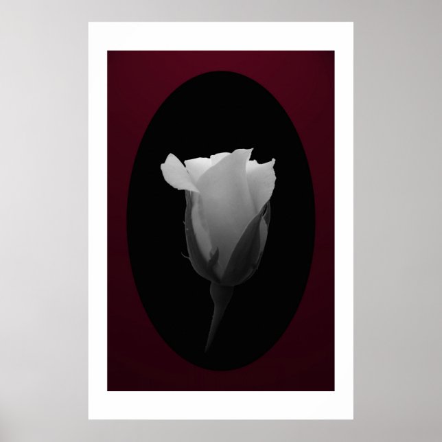 Rose Bud (Schwarz & Weiß) Poster (Vorne)