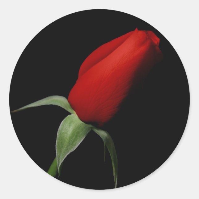 Rose Bud Wedding RSVP Einladung Umschlag Aufkleber (Vorderseite)