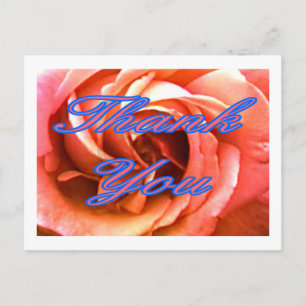 Rose Canterbury 4 Vielen Dank 1 Das MUSEUM Zazzle  Postkarte