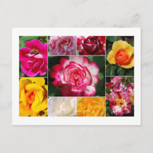 Rose Collage Postcard Postkarte