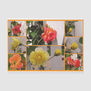Rose Collage zeichnet das Katzengewebe Seidenpapier
